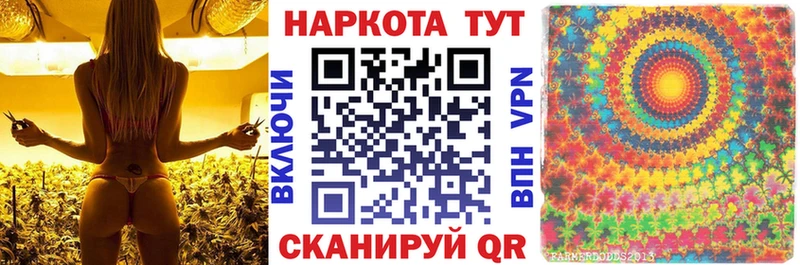  COCAIN Багратионовск
