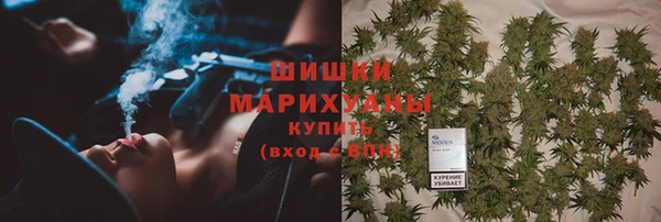 индика Аркадак