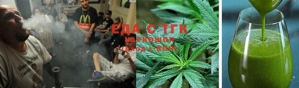 индика Аркадак
