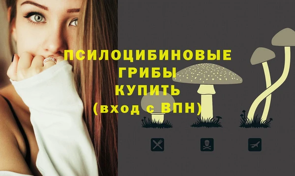 индика Аркадак