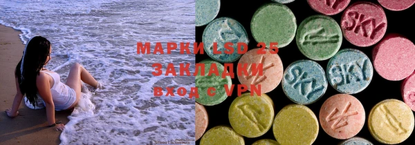 индика Аркадак
