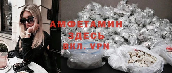 индика Аркадак