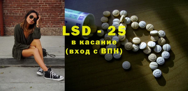индика Аркадак