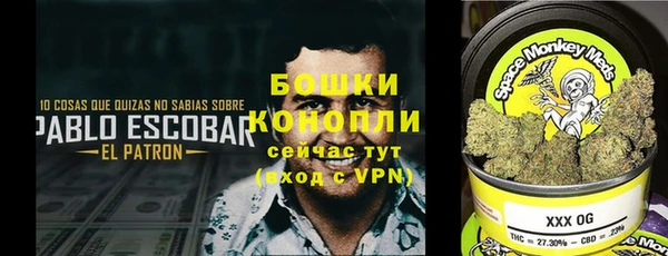 индика Аркадак