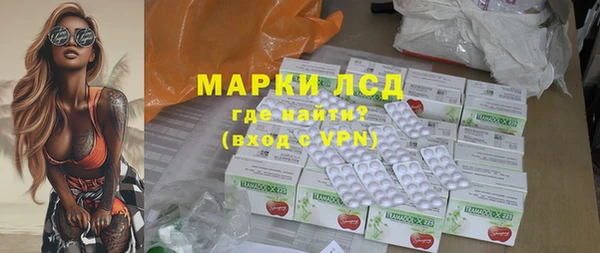 индика Аркадак